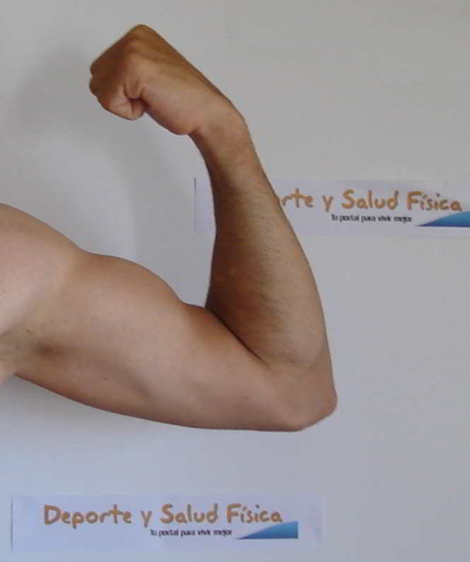 Consigue biceps más fuerte con electroestimulacion y electroestimuladores compex, cefar, globus..