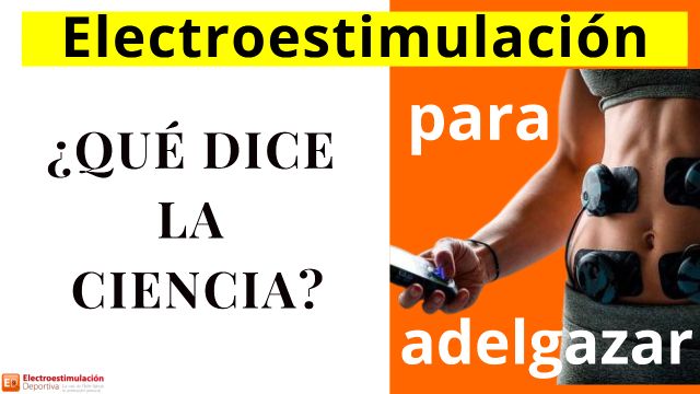 Eliminar la grasa abdominal: esto es lo que, según la ciencia, puede  ayudarte