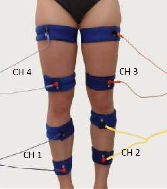 Cintas elásticas de electroestimulación