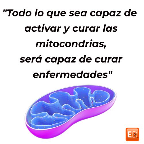 Mitocondrias y salud para tratamiento del sudeck