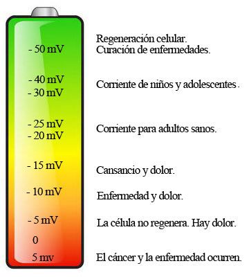 Energía celular. Voltaje de las células sanas y enfermas