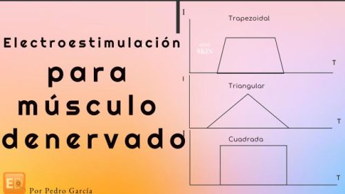 musculo denervado, como inervar un músculo con electroestimulación