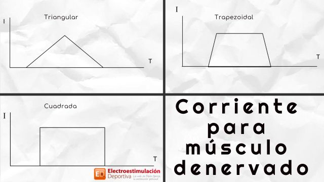 tratamiento musculos denervados